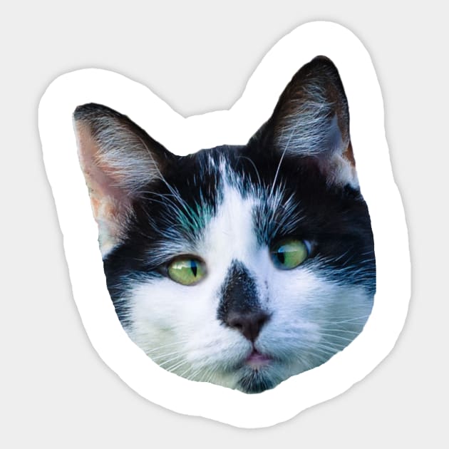 Funny Cat Head Sticker by VBleshka